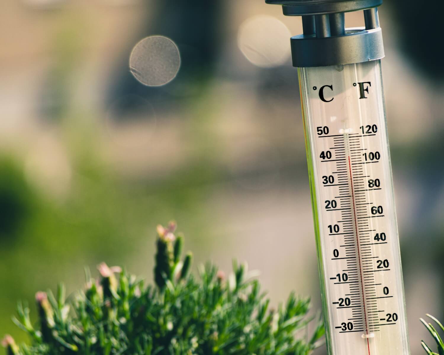 Guide to UK Fridge Temperatures & Thermometers