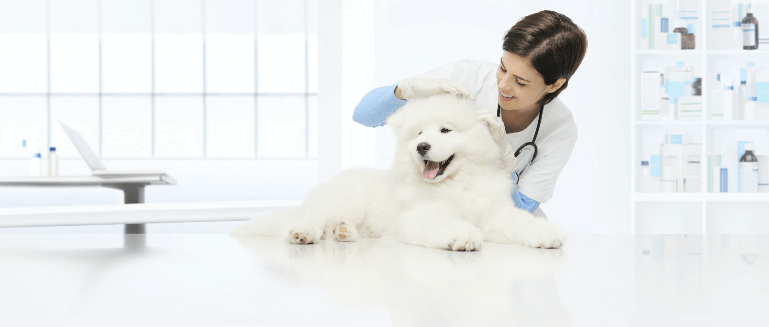 Veterinary Fridges | Refrigerators for Vet Practices | CoolMed